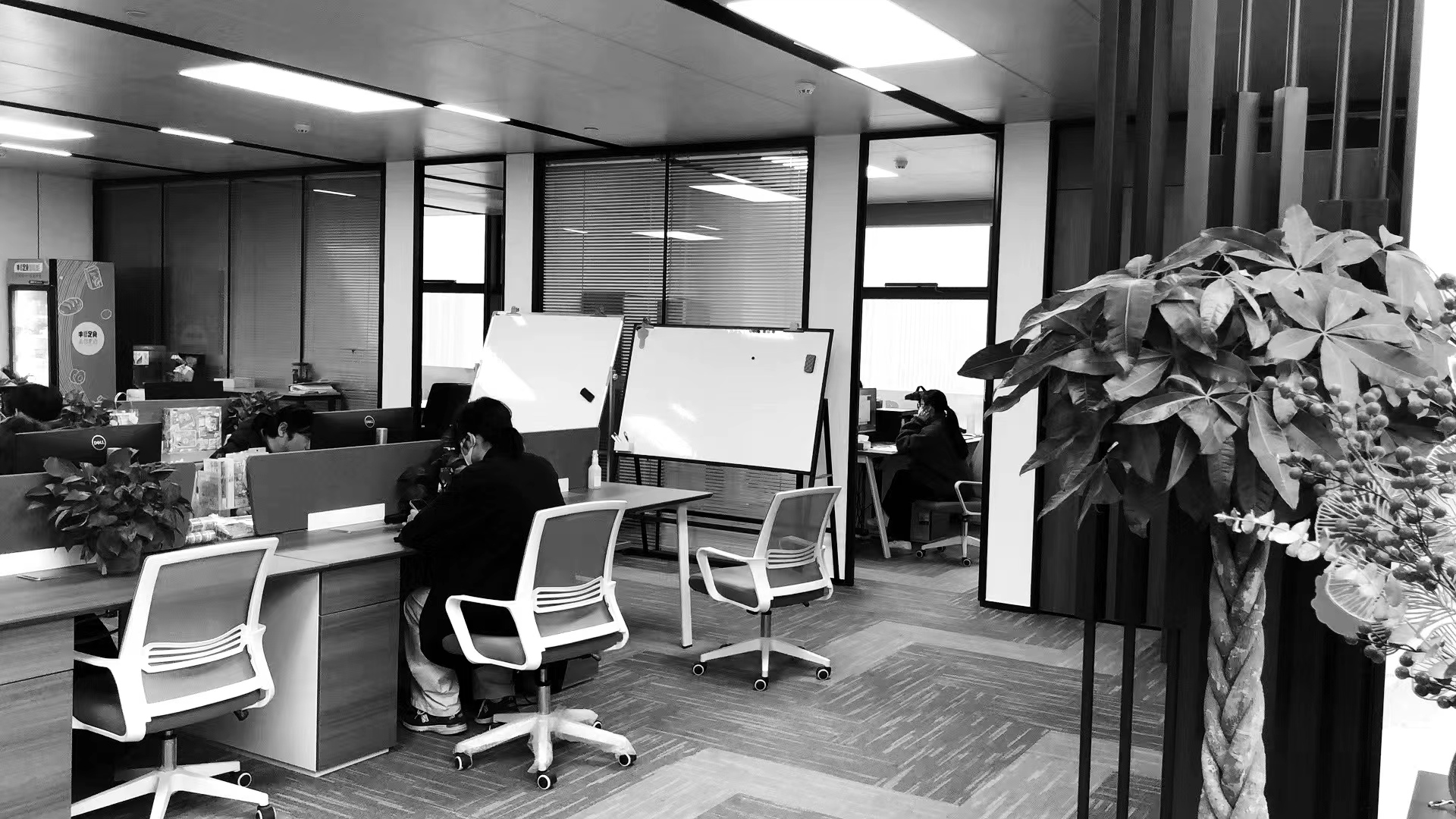 上海彥洋文化傳播有限公司